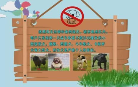 北京限养区有什么规定