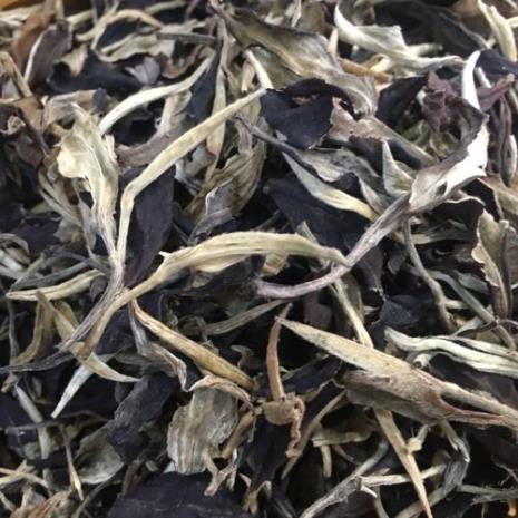 普洱茶与白茶哪个更好