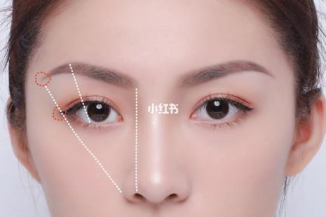 各种眉的尺寸比例