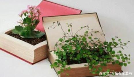 书属于生活用品吗