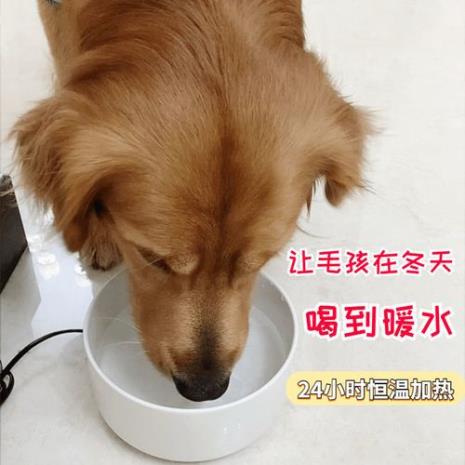 猫能喝狗的水吗