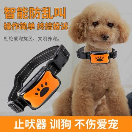 不乱叫的小型宠物