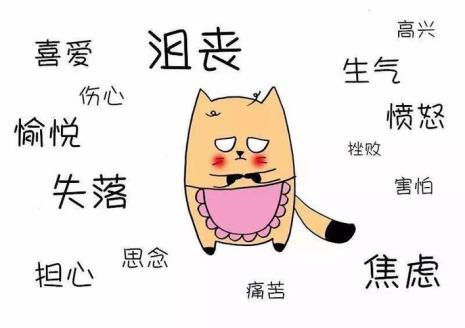保持情绪稳定什么意思