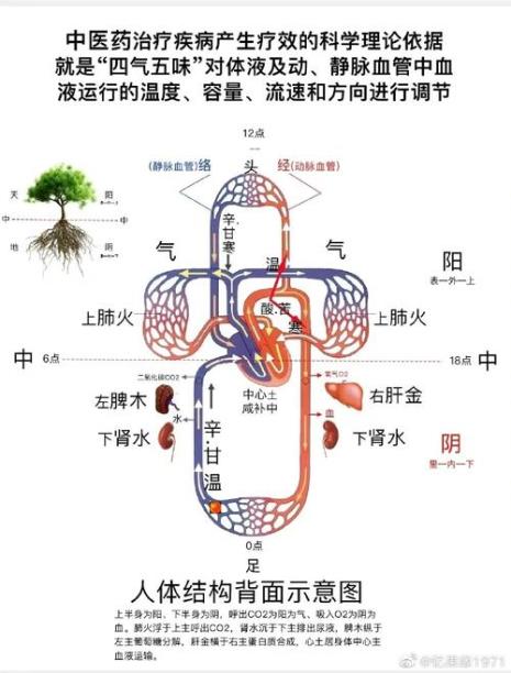 心为血之府是否正确