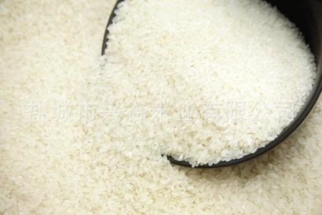 粳米和大米与泰国米的区别