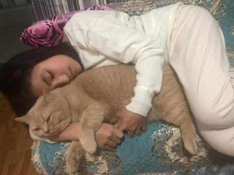 两三个月大的小猫怎么抱
