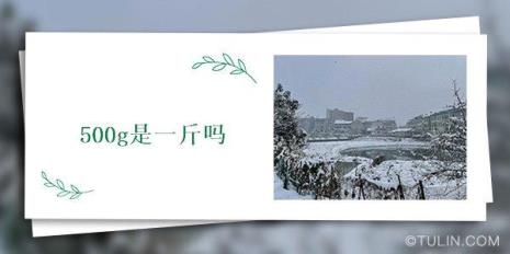 1jg等于多少斤