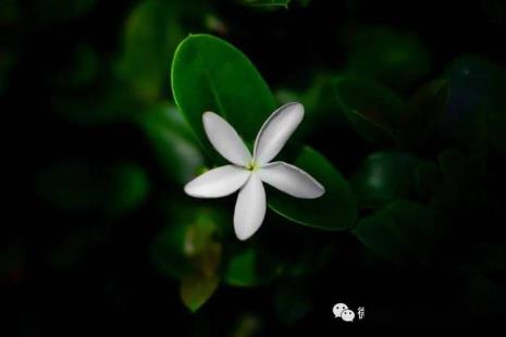 人生哲思录什么意思