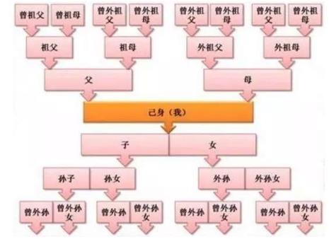 祖宗十八代有没有现存的记录