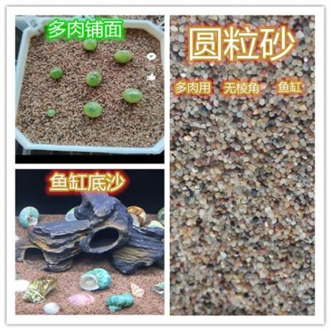 地过滤鱼缸怎么铺底砂