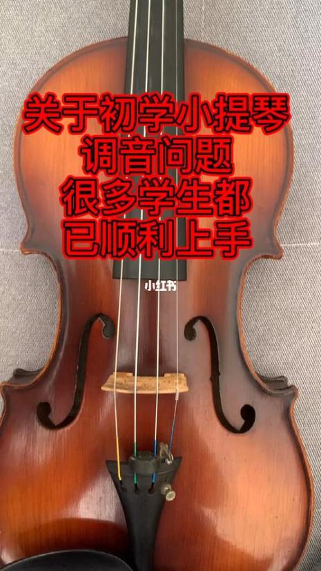 8分之1小提琴多长