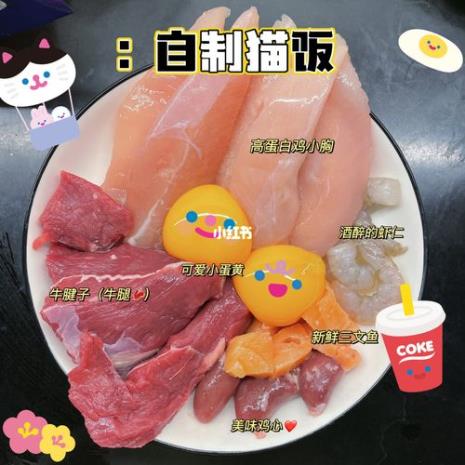 一个月幼猫猫饭怎么做