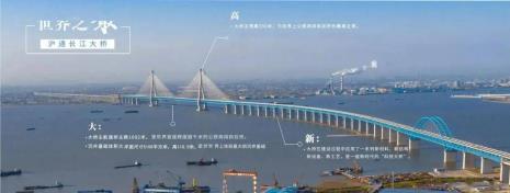苏通大桥用的是什么品号水泥