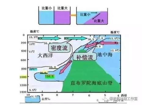 八月是什么寒流