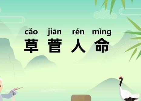 草长什么飞成语