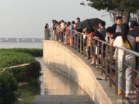 去南京五马渡游玩需要预约吗