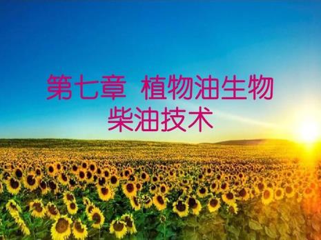 生物柴油的用途