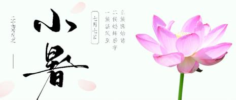 伏月什么意思