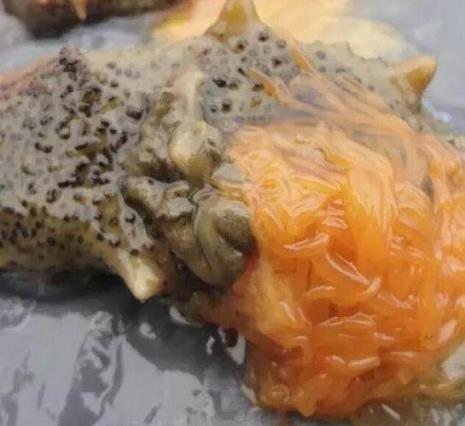 海参花的做法