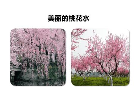 自制桃花水