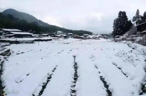 2008年福建下雪了吗