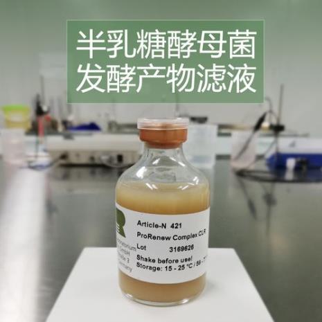 酵母菌的乳酸发酵是什么