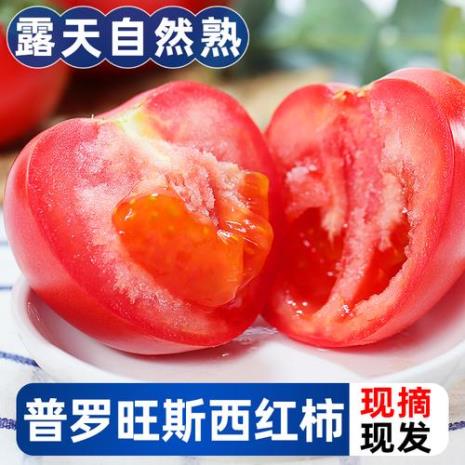 普罗旺斯西红柿有几层果