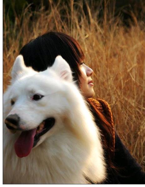 人情不如犬情亲出自何处