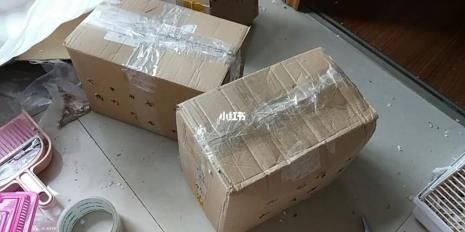 邮活物用什么快递