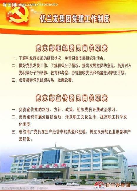 临时党总支职责