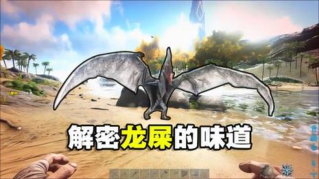 龙的粪便叫什么