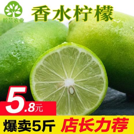 香水柠檬耐寒吗