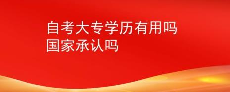 高自考的学历企业承认吗