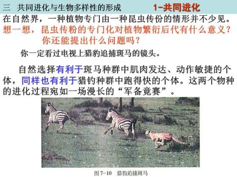 生物协同进化的几种情况