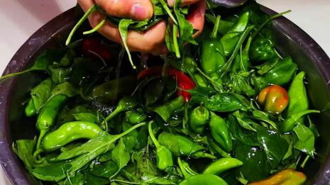 菜椒腌制方法大全