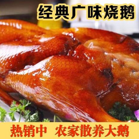 凤头鹅是什么菜