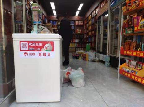 陶菜菜是哪家公司