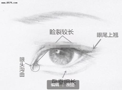 眼睛分哪几种类型