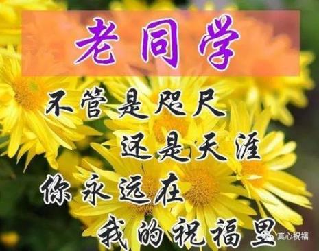 老同学发微信不回什么心态