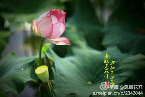 一看到就很香的词