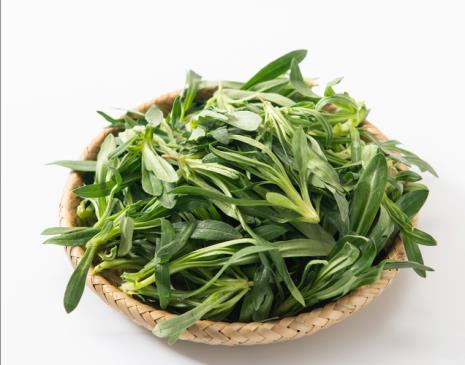 野生的叶子菜都有哪些