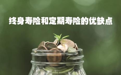 保险里终身和终生的区别