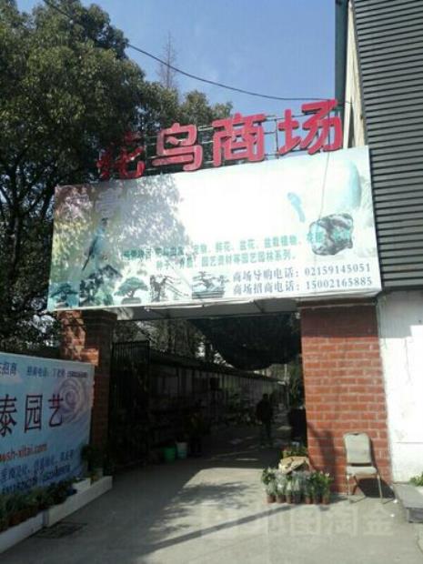 上海市最大的花鸟市场的地址