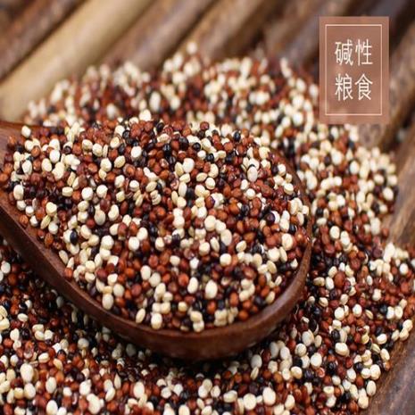 静乐藜麦怎么煮粥