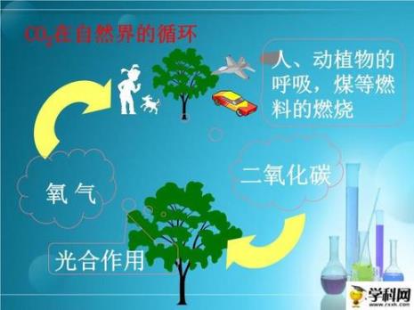 元素在自然界循环需要什么动力