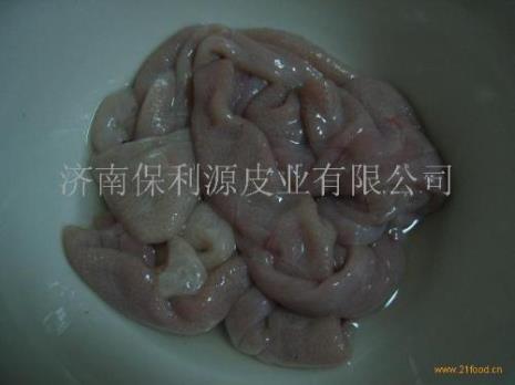 猪身上的脆肠长在哪