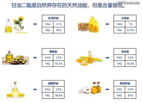 甘油是什么油和植物油