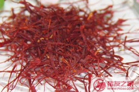藏红花和玫瑰花能一起泡水喝吗