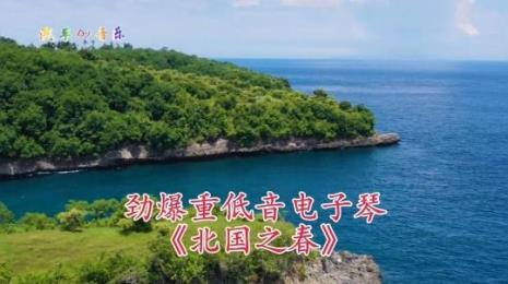 电子琴必背口诀北国之春