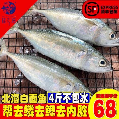 海青鱼和鲅鱼的区别